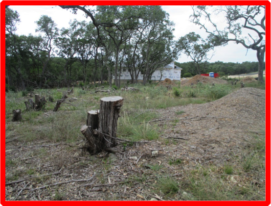  Land Clearing | Tree clearing | Cedar clearing | Tree removal | Cedar removal | Road Building | Pad site building | Rv pad site building | Trailer home pad site building | Barn pad site building
