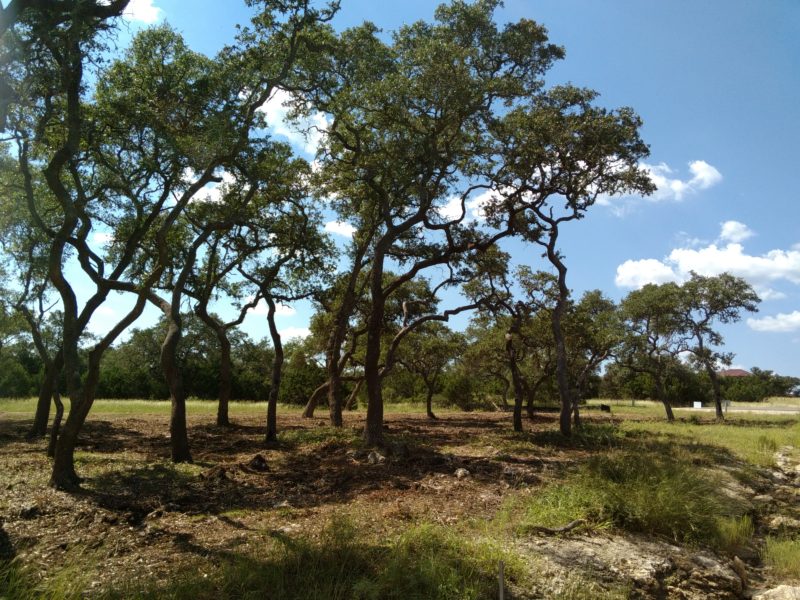 Land Clearing | Hill Country Land Prep